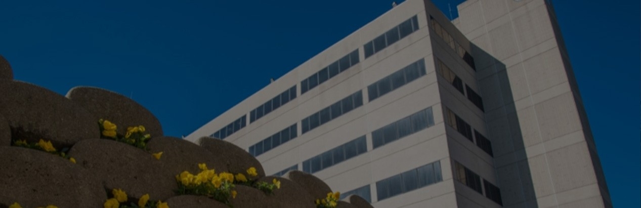 Lucas Admin Building in summer with flowers on wall 