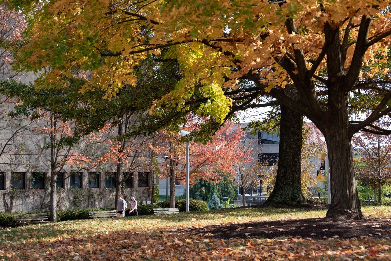 Autumn day on campus. Leaves cover the ground outside the SOTA building.