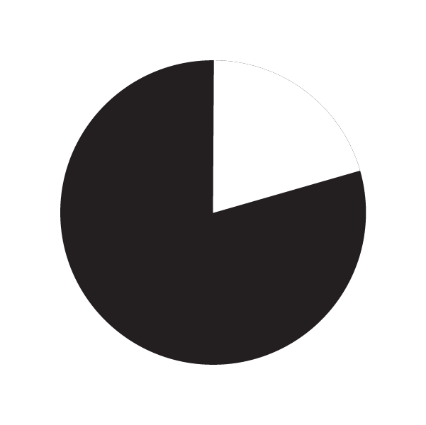 Pie chart with 20% of the chart highlighted.