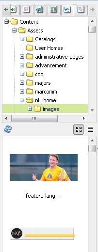 The Content Finder with a folder selected that is displaying image previews below it