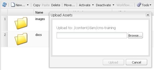 The Upload Assets window