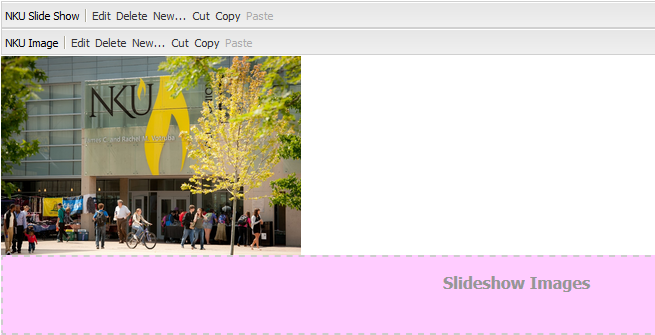 image of slideshow component with image inside