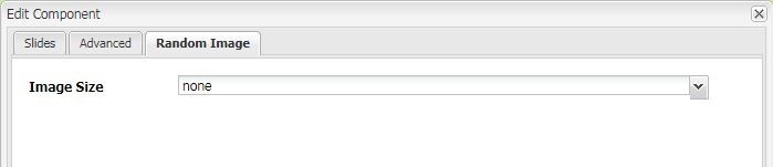 Random Image Slideshow Image