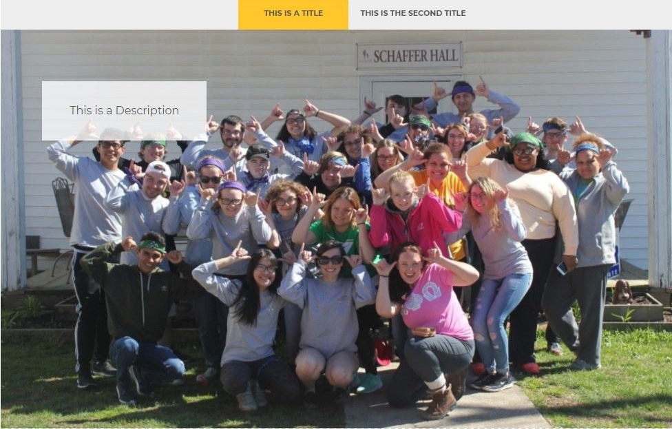 Tabbed Stories Example Image