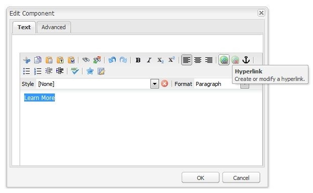Text component window