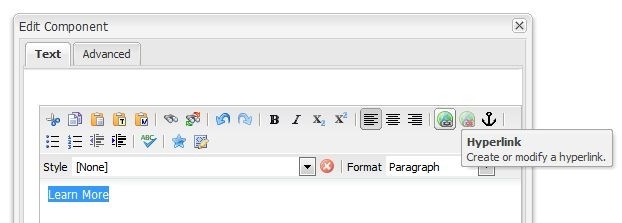 Text component with hyperlink icon selected