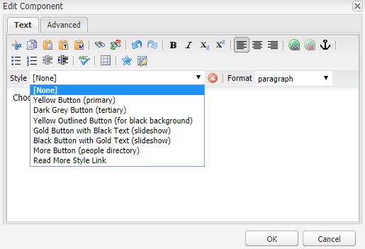 Image of Style Dropdown Menu