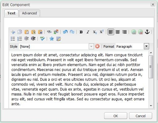 Text component window.