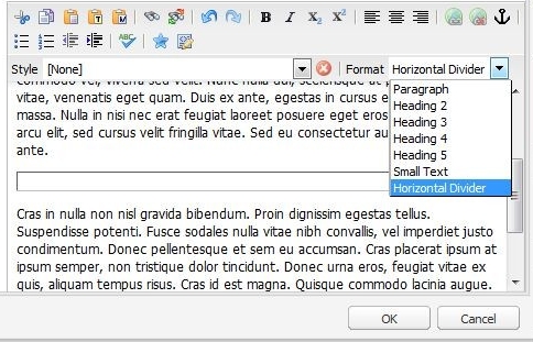 Text editor with Format dropdown showing and Horizontal Divider selected