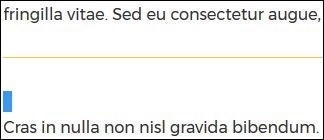 A gold horizontal line dividing two paragraphs of text