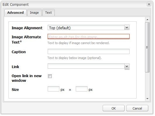 The Advanced tab of the Text/Image component
