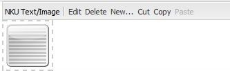 An NKU/Text Image Component