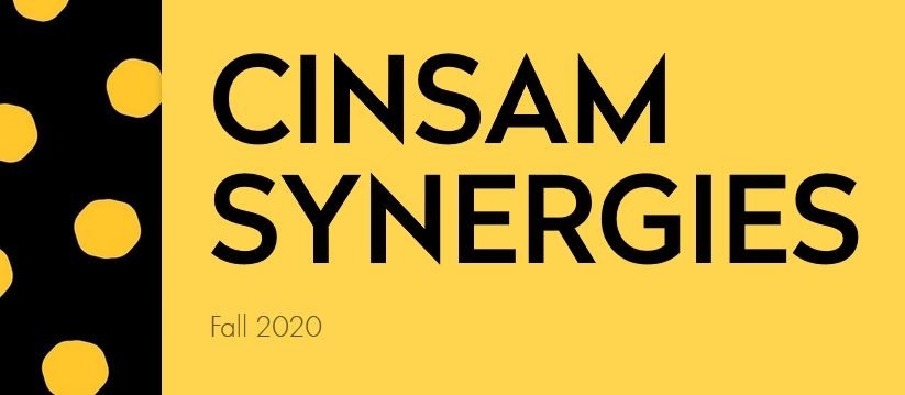 CINSAM Synergies Fall 2020