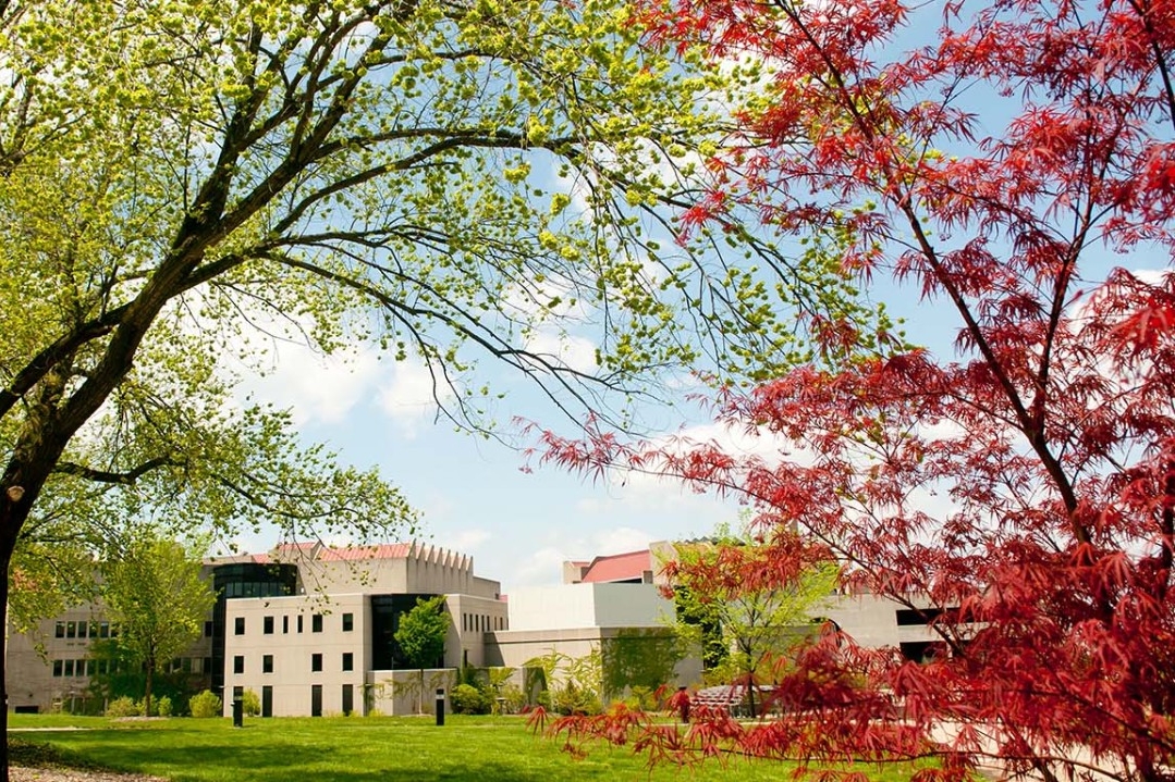 Vibrantly colored NKU grounds (in place of missing student photo)